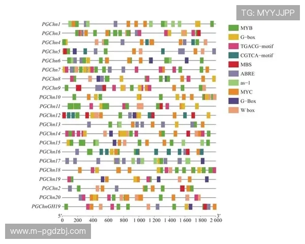 PG电子官网投注常见问题解答,解决新手玩家的疑虑与操作难题实现顺畅体验